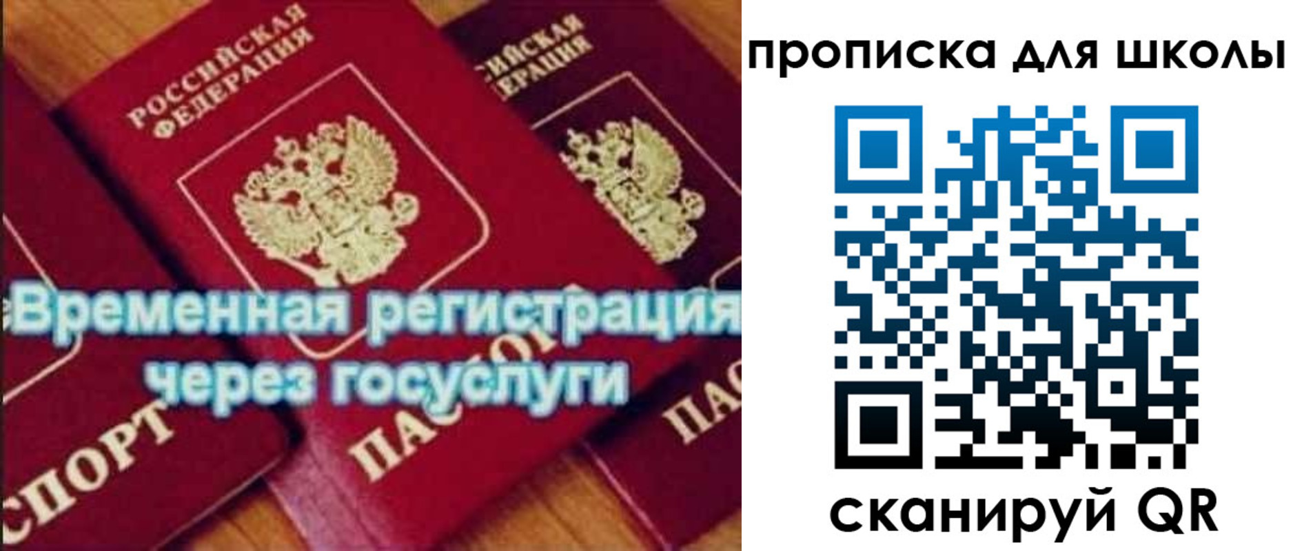 временная регистрация купить в Стародубе